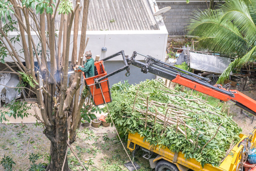 Gardner's Tree Service-tree-removal-services-St-Petersburg